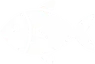 Fisch